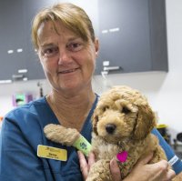 Nurse Denise Nicholaidis with dog