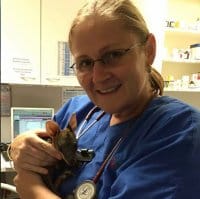 Animal Emergency Service Nurse Manager, Patrice Burford with possum
