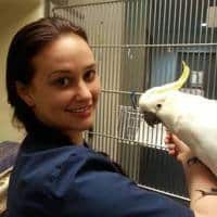 Animal Emergency Service Veterinarian, Dr Vanessa Grose with cockatoo