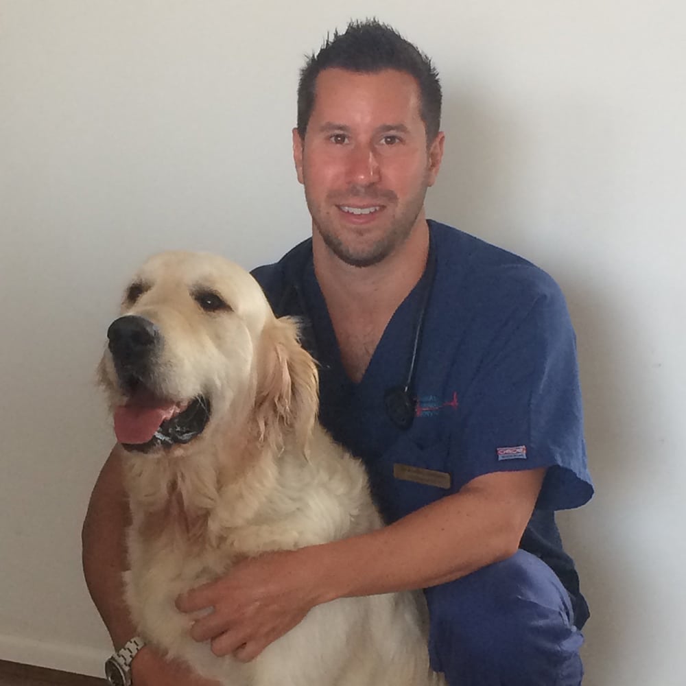 Animal Emergency Service Veterinarian Dr Alvaro Jordan with a dog