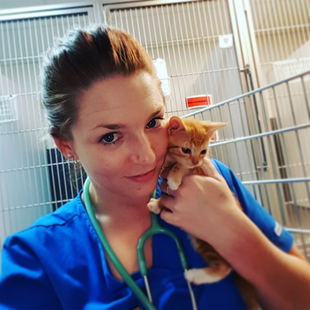 Animal Emergency Service Jindalee Nurse Brook Wilkin with a ginger kitten