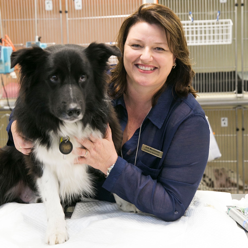 Animal Emergency Australia Director Jodi MacKinnon with dog