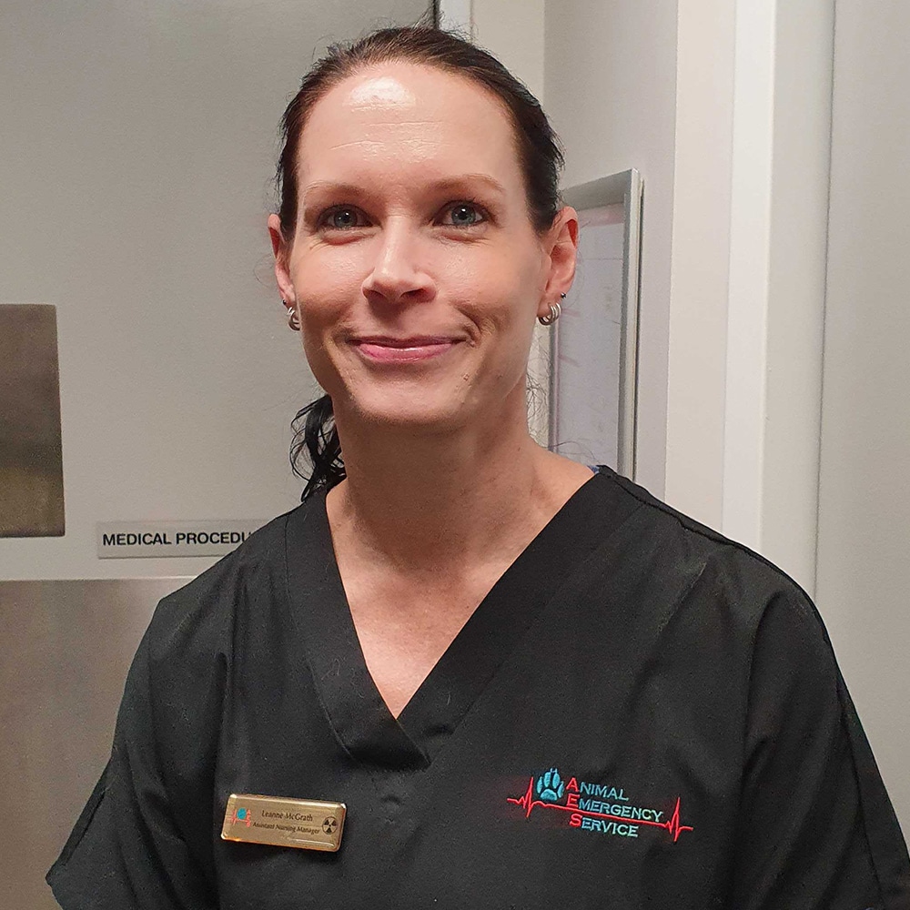 Animal Emergency Service Jindalee Assistant Nurse Manager Leanne McGrath