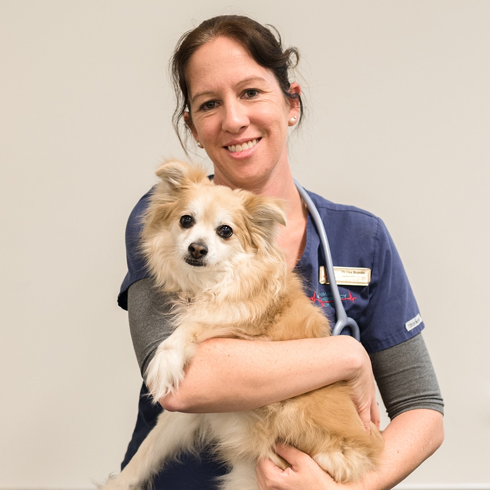 Animal Emergency Service Carrara Veterinarian Dr Lisa Brumby with her dog