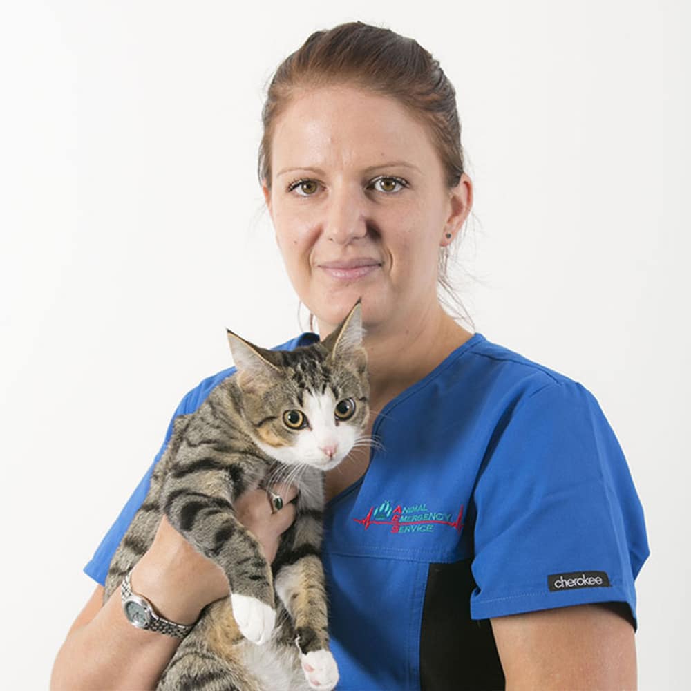 Animal Emergency Service Carrara Practice Manager Lisa Thurston with a cat