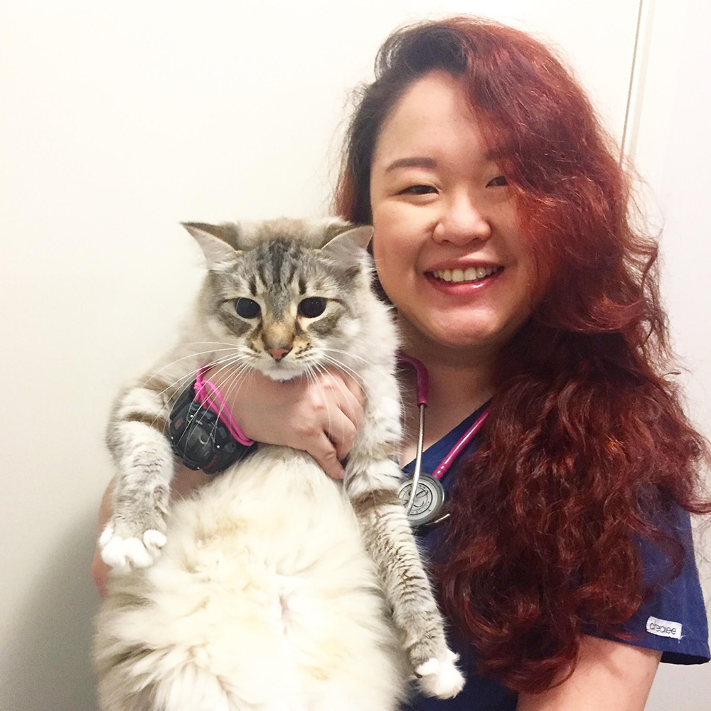 Animal Emergency Service Carrara Veterinarian Dr Oriana Leong with a cat