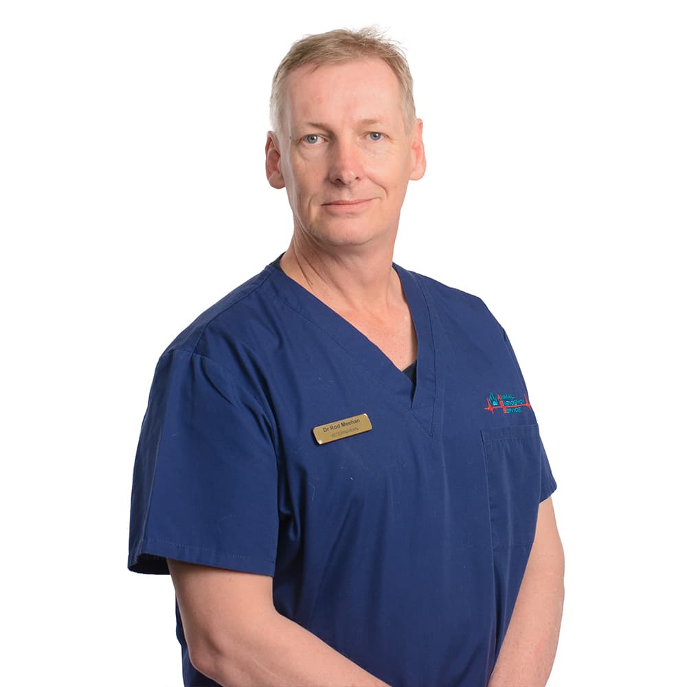 Animal Emergency Service Carrara Director Dr Rod Meehan