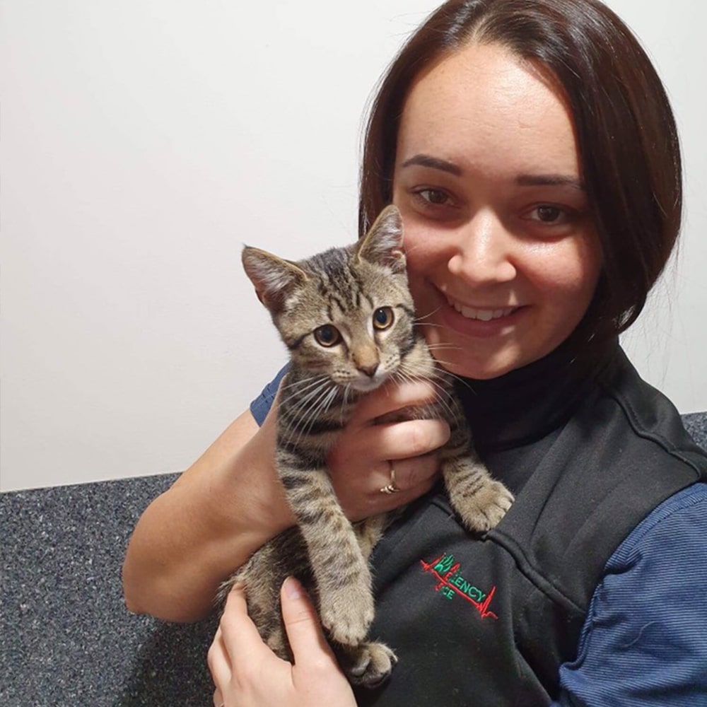 Animal Emergency Service Underwood Operations Manager Demelza Booth with a cat