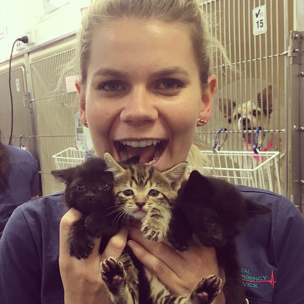 Animal Emergency Service Underwood Veterinarian Dr Charlotte Stenberg with three kittens