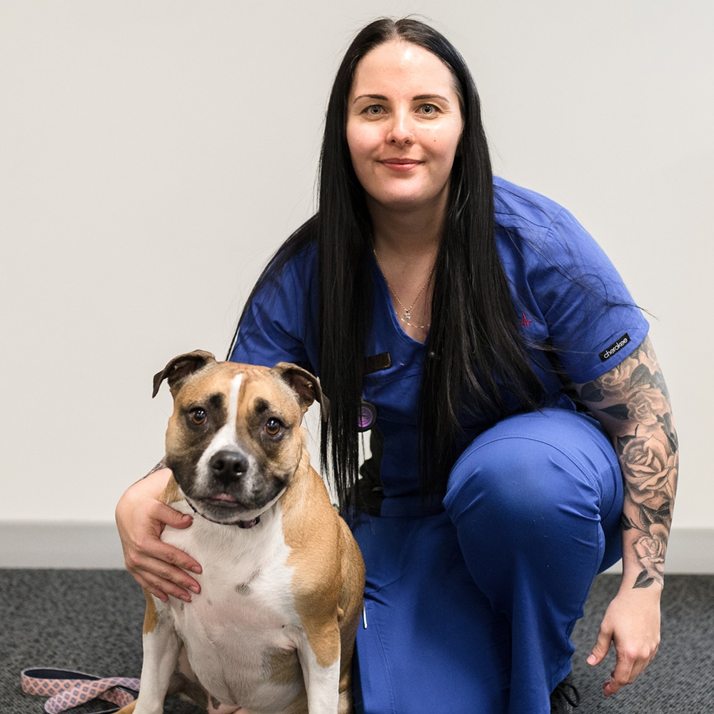 Animal Emergency Service Carrara Nurse Alana Glading with a dog