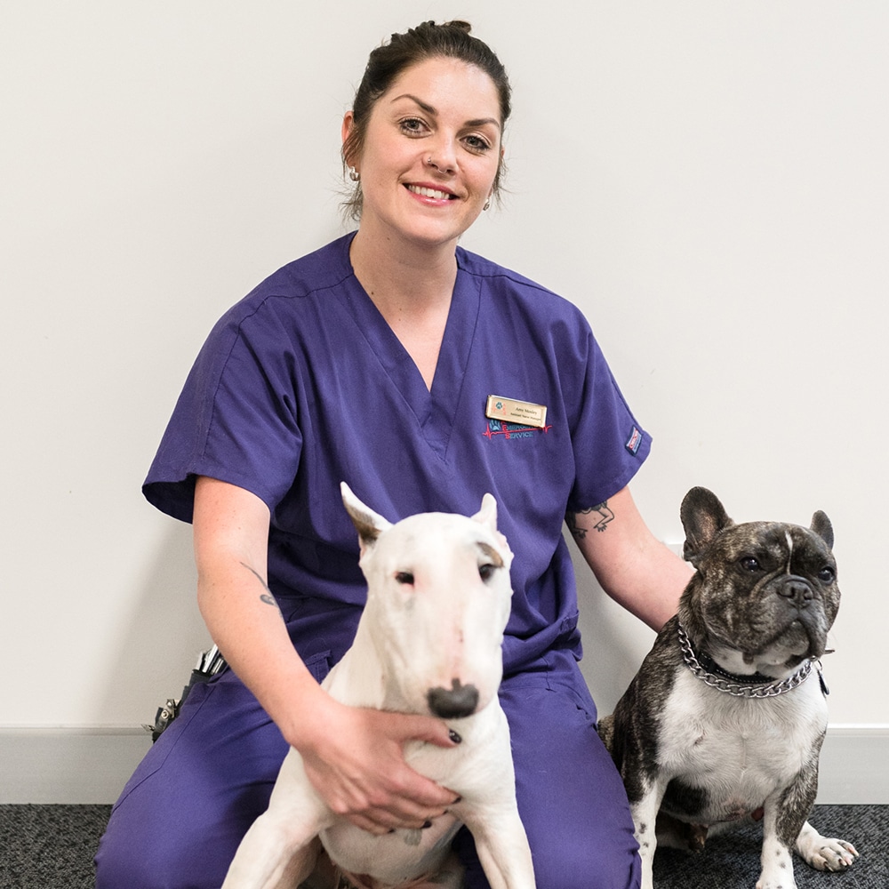 Animal Emergency Service Carrara Nurse Manager Amy Mosley