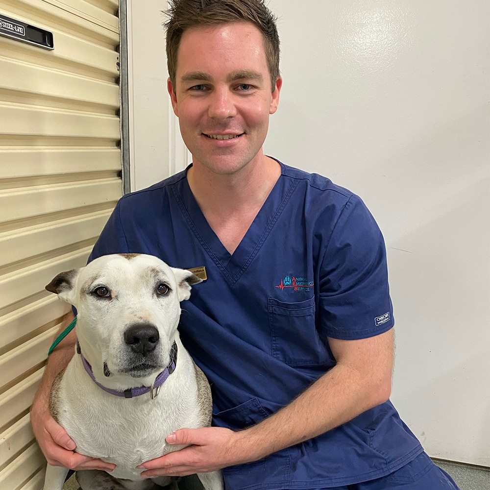 Animal Emergency Service Tanawha Veterinarian Dr Matt Hollindale with a dog