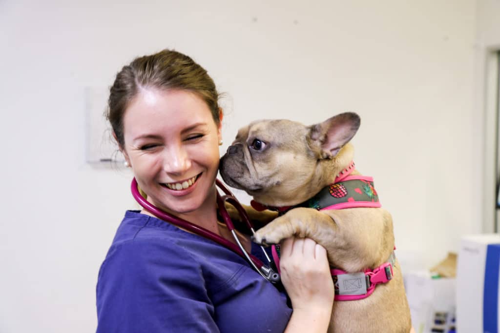 A vet with a dog at an Underwood vet emergency