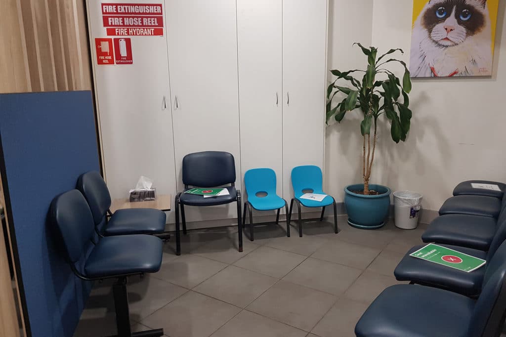 Waiting area at Animal Emergency Service Underwood, an emergency vet Underwood