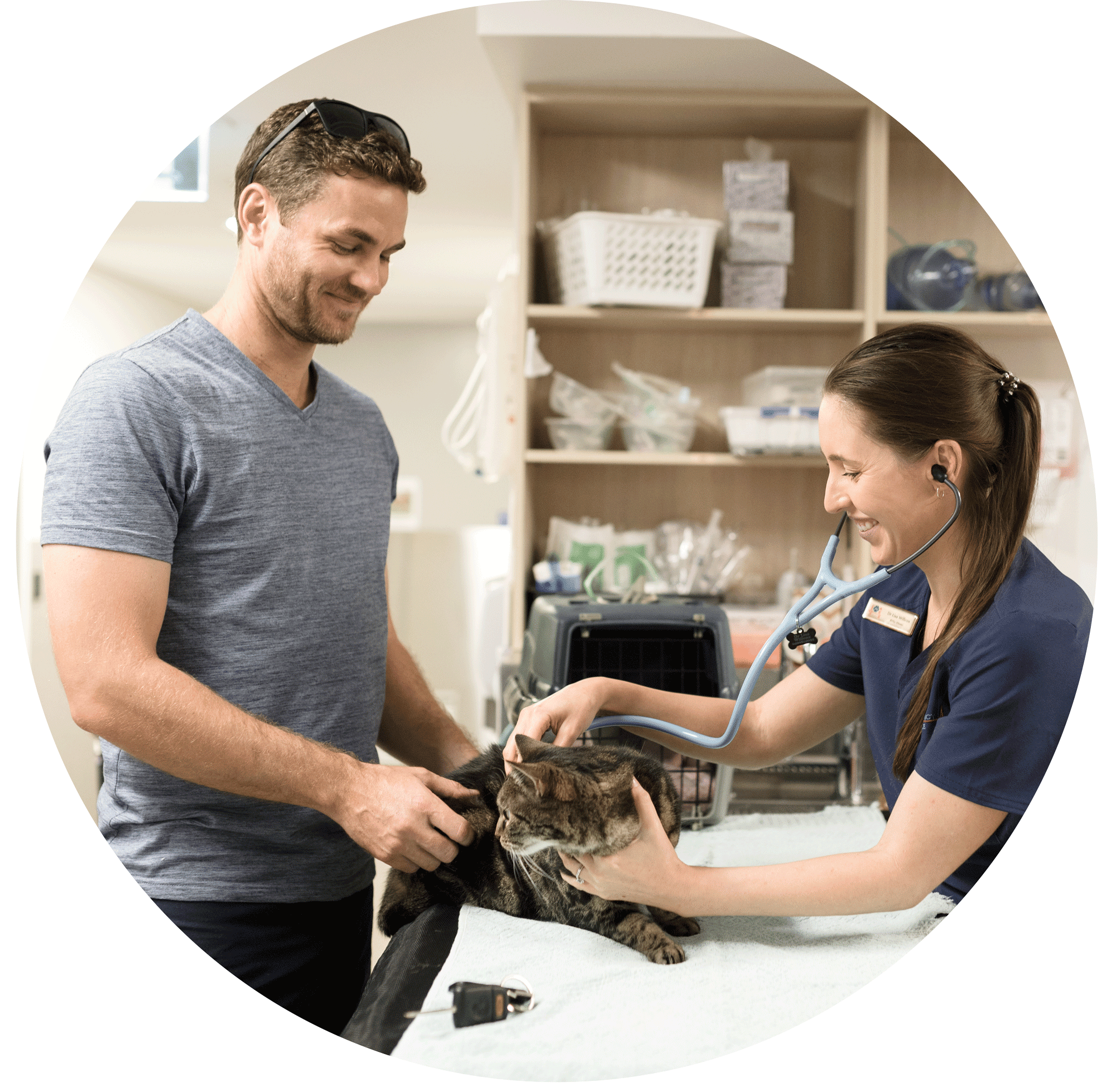 Vet treating a cat with its owner at our emergency vet Brisbane
