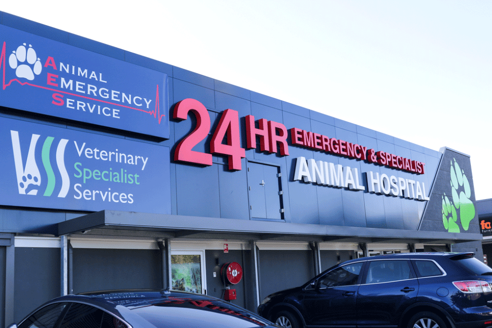 Emergency Vet Brisbane Animal Emergency Service Jindalee