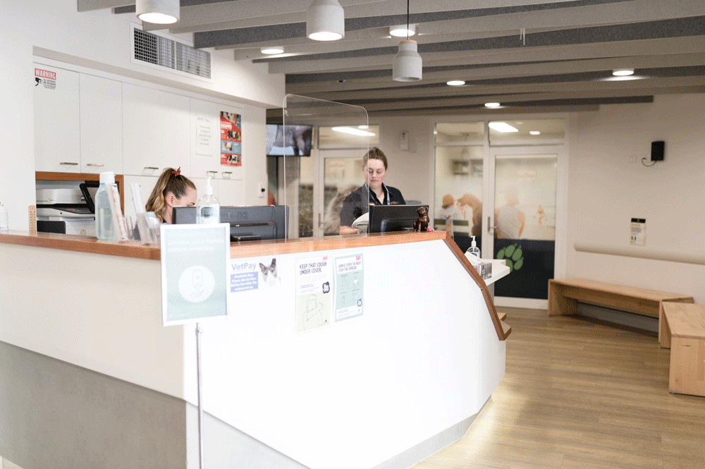 Reception and waiting area at Jindalee emergency vet