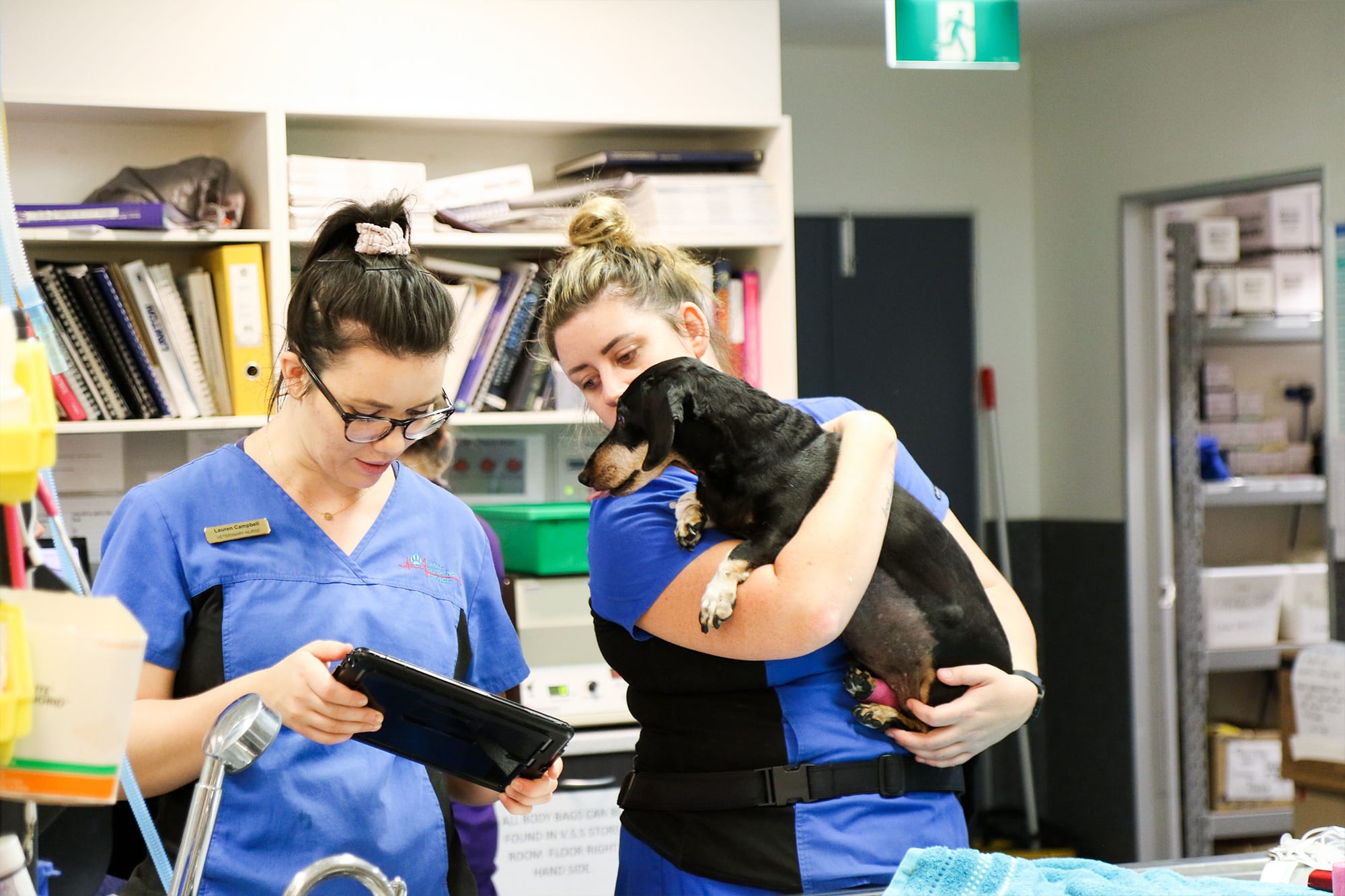 Two veterinary nurses at Animal Emergency Service Carrara talking with a dachshund on the arm, at emergency vet Gold Coast
