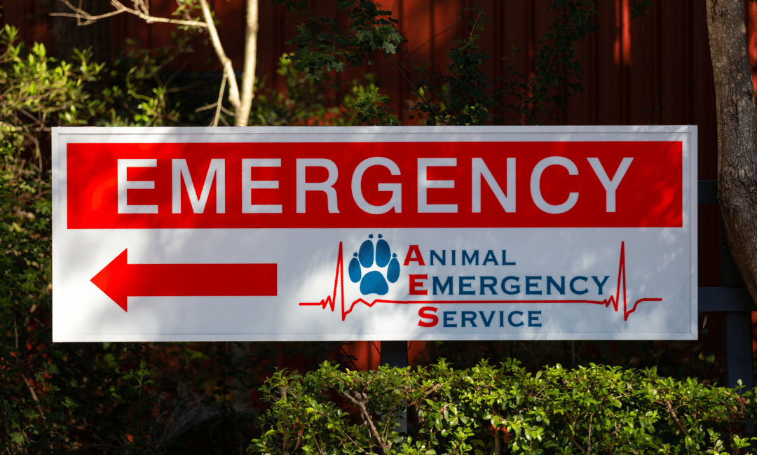 Sign for our emergency vet Sunshine Coast
