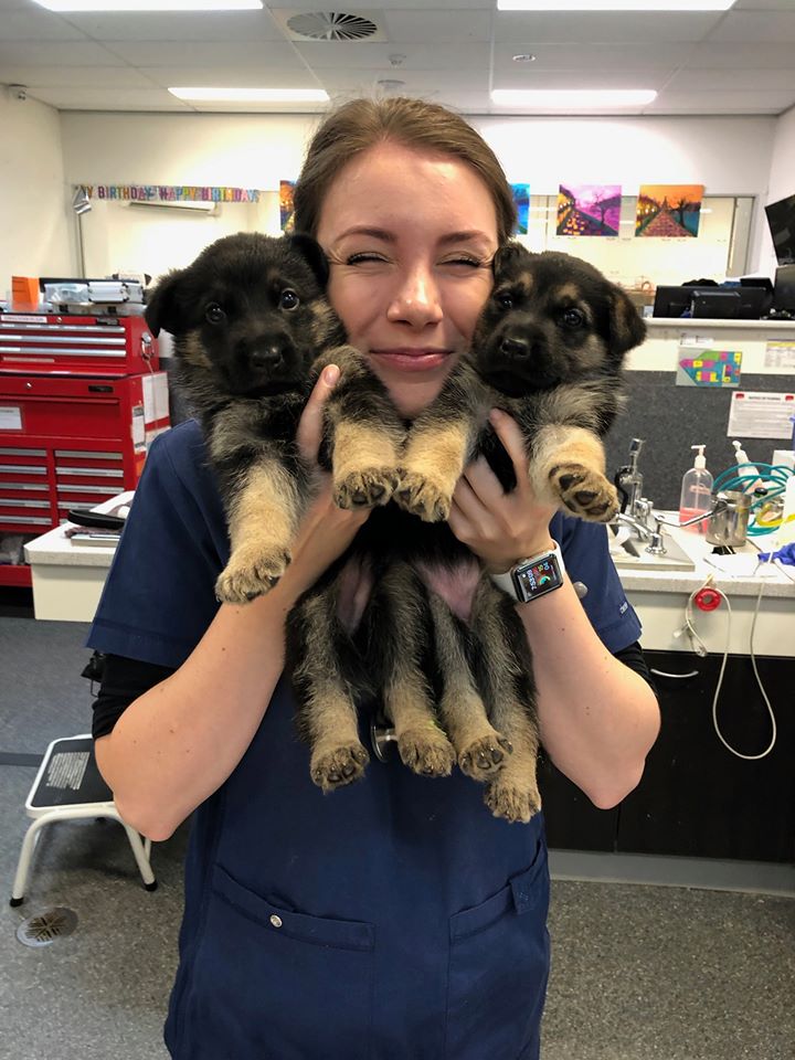 Dr Brooke Schampers with two puppies