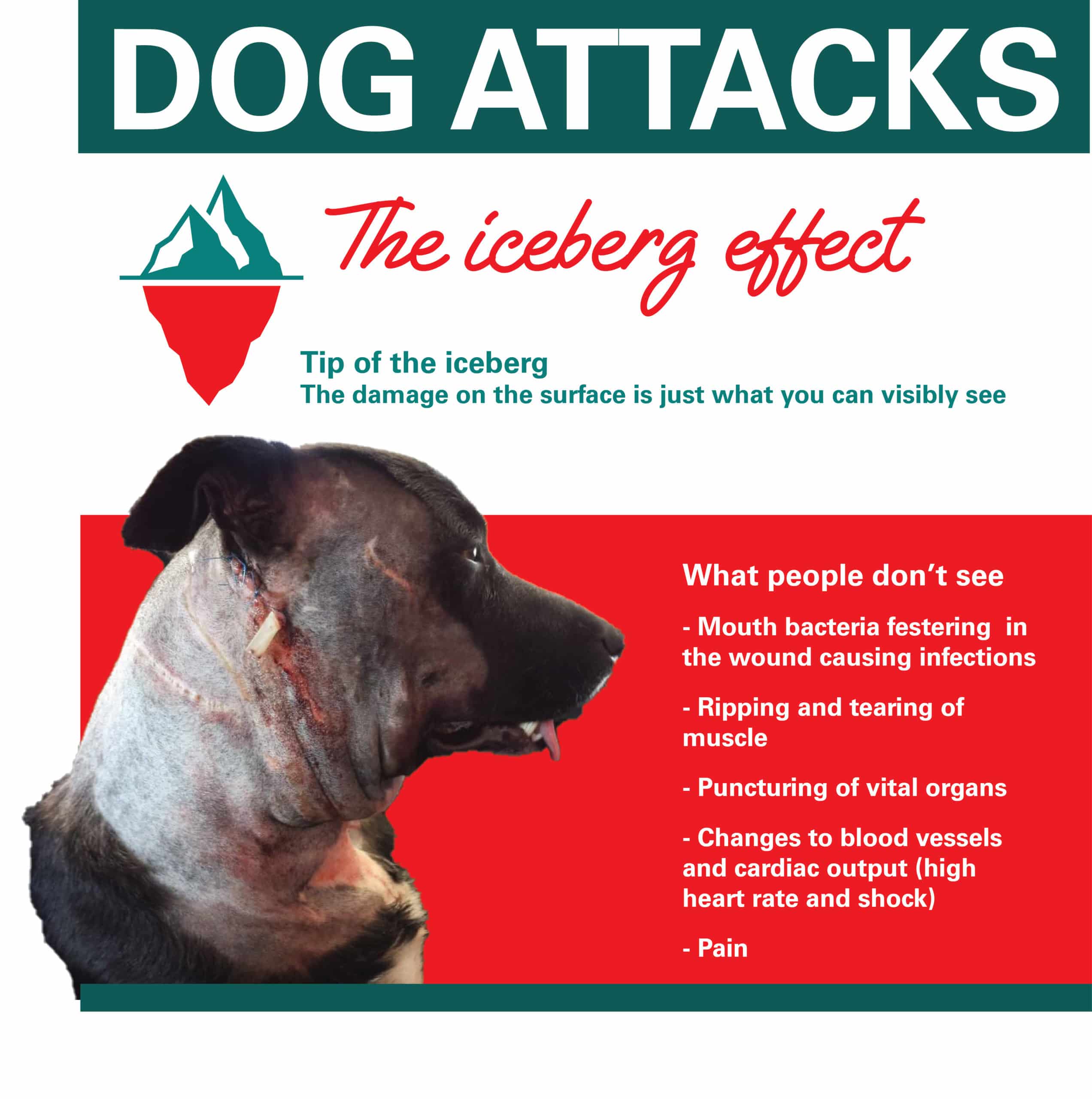 Dog attack the iceberg effect