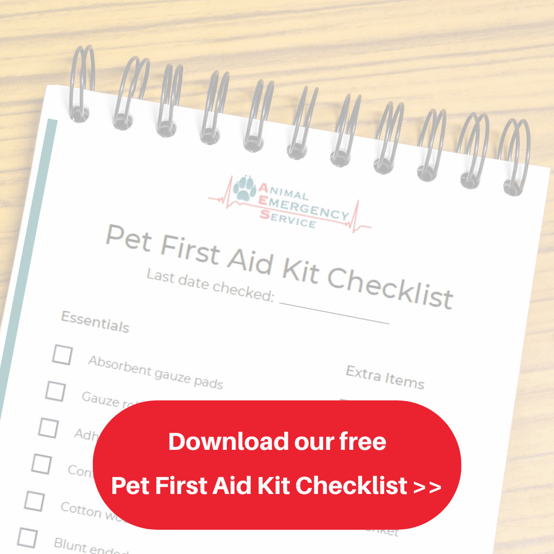 Download our pet first aid kit checklist