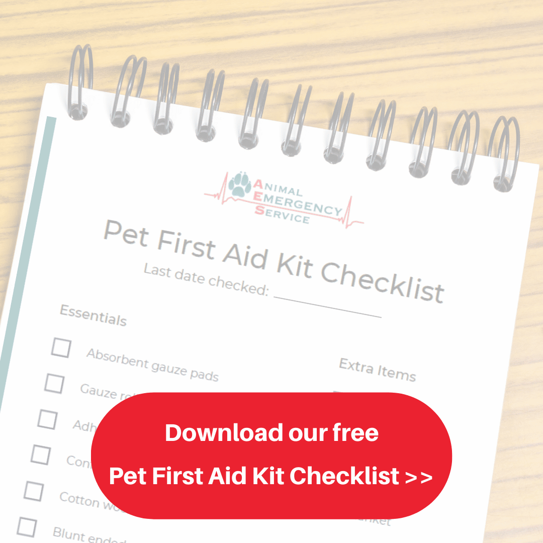 Download our pet first aid kit checklist