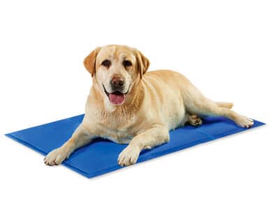 Dog on pet cooling mat