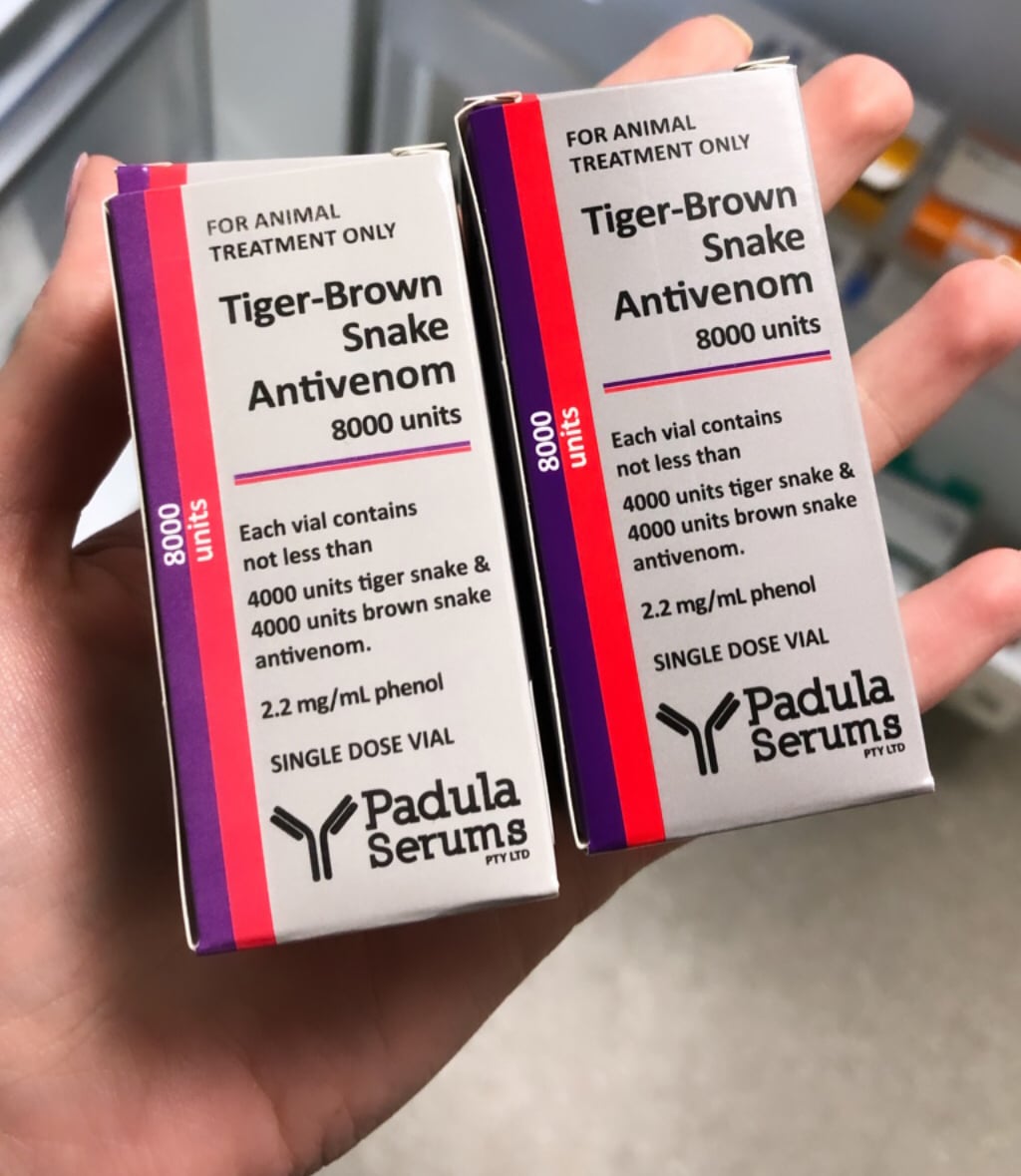 Padula Serums tiger-brown snake antivenom. packets