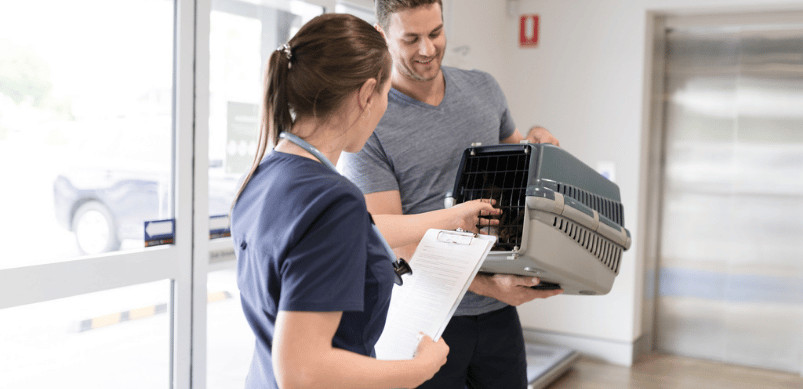 When to go to the emergency vet