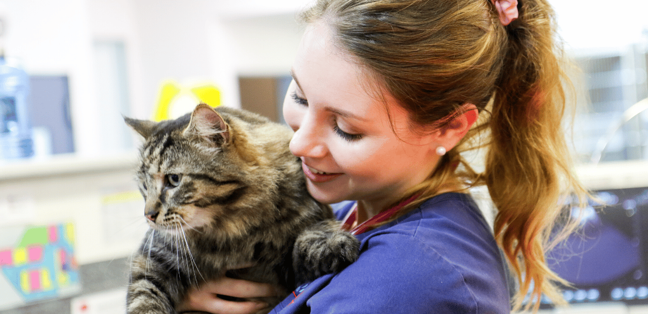 Animal Emergency Service Vet Dr Brooke Schampers with cat