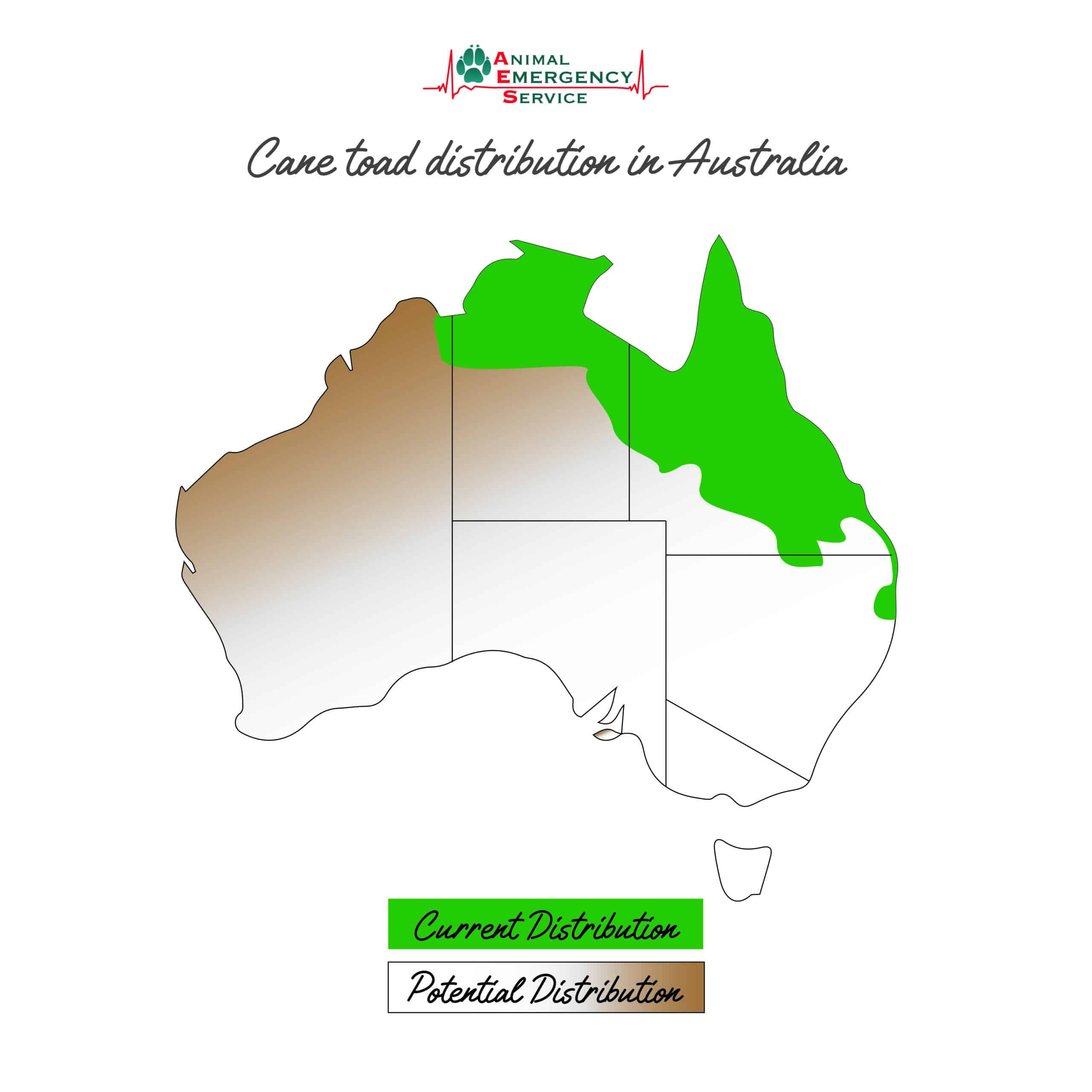 Cane toad distribution in Australia