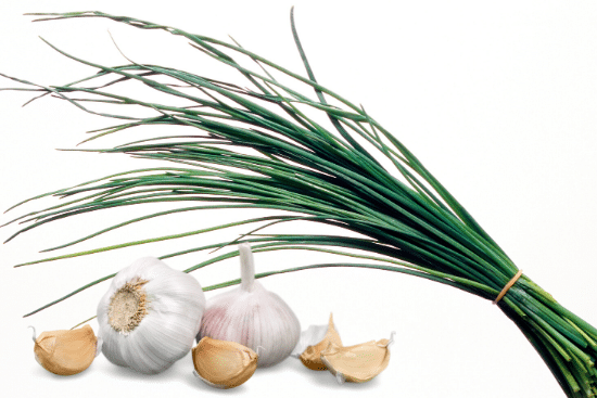 Bulbs of garlic and a bunch of chives, highly toxic foods for dogs