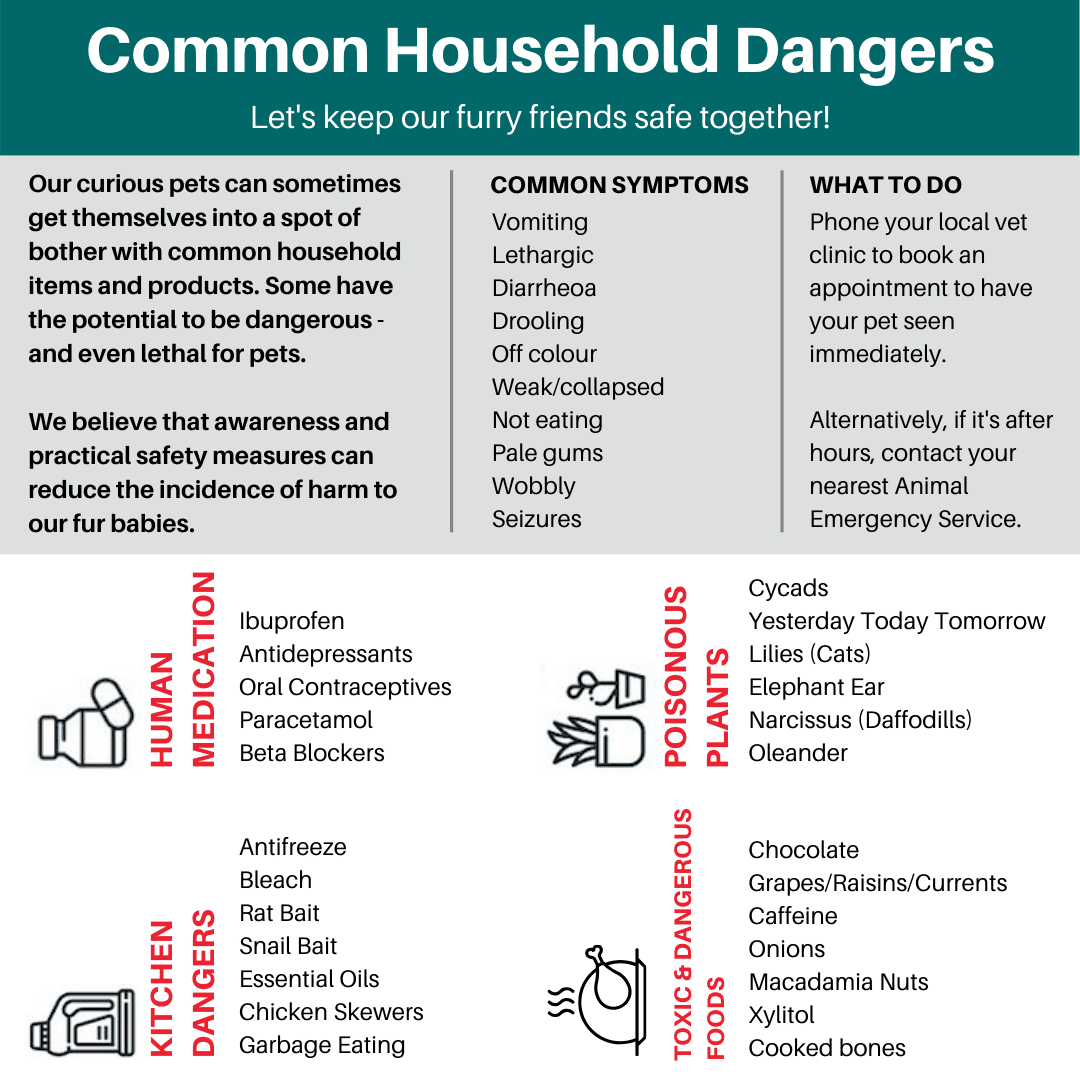 List of common household pet poisons