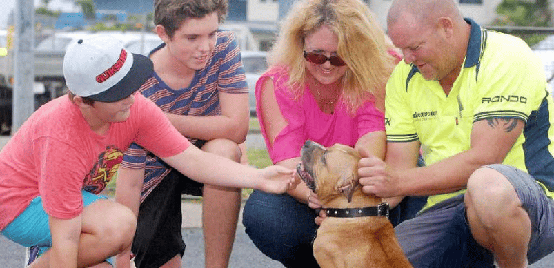 Diesel, a lost dog reunited with his family