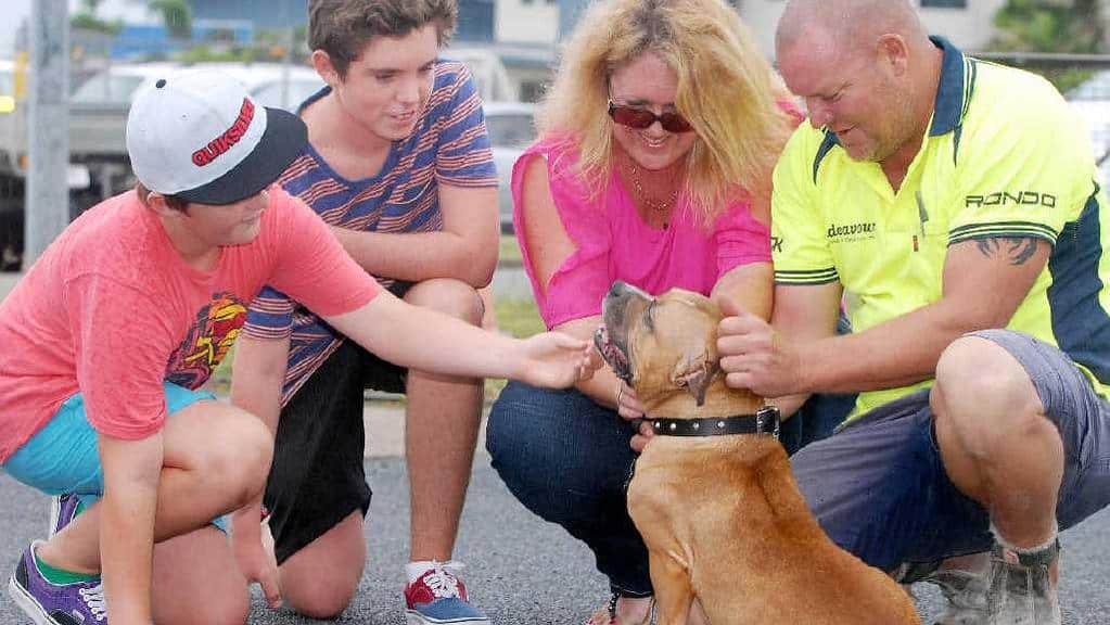 Diesel, a lost dog reuniting with family