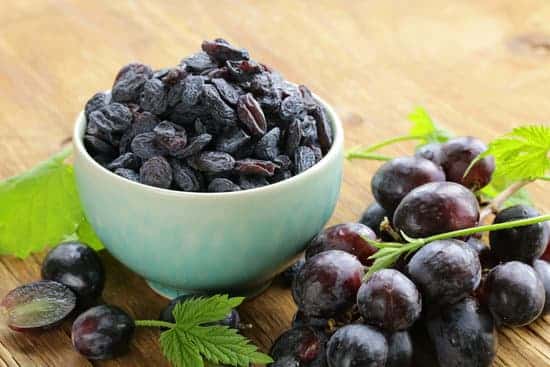 Grapes, raisins and sultanas are toxic foods for dogs