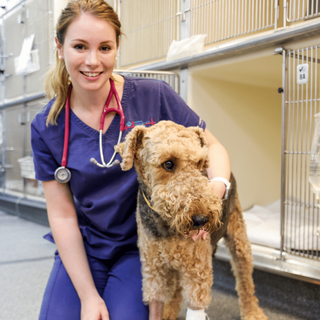 Dr Brooke Schampers with brown dog