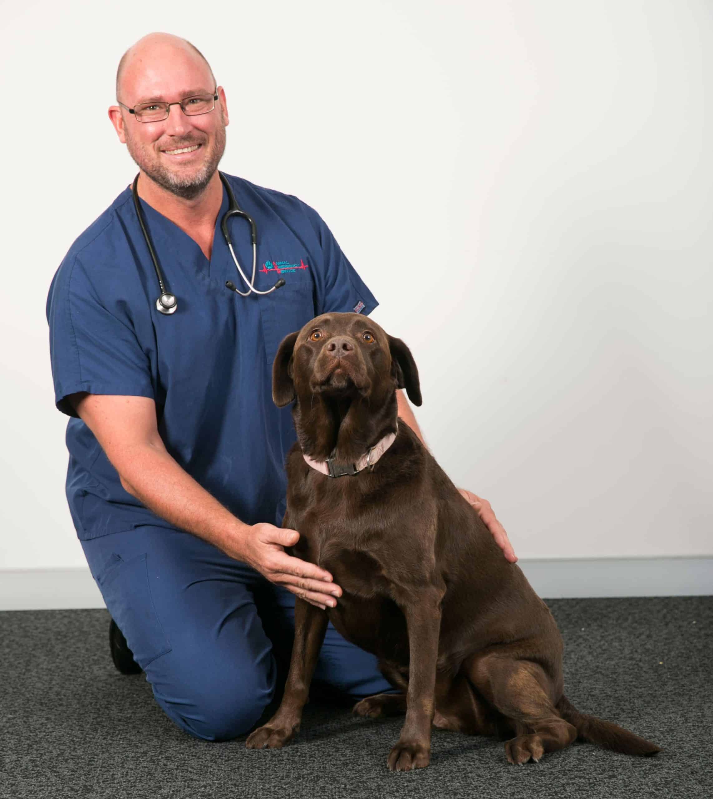 Dr Rob Webster with brown dog at Animal Emergency Service