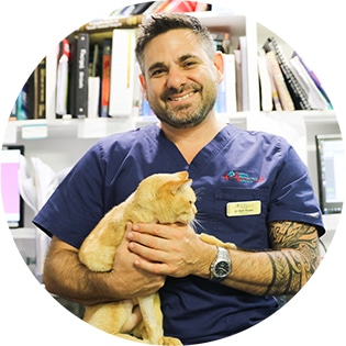 Dr Matt Rosen, Animal Emergency Service Tanawha emergency vet