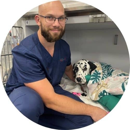 Dr Matt Rosen, Animal Emergency Service Tanawha emergency vet