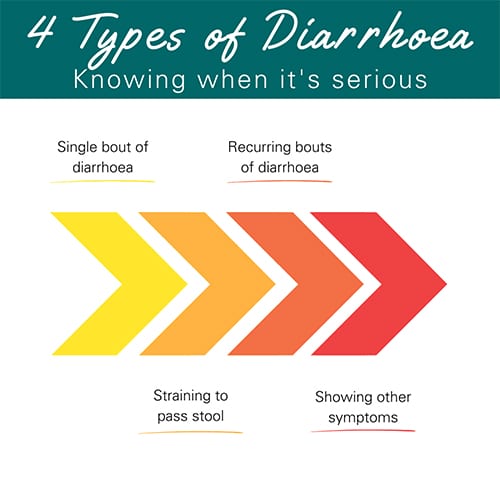Types of diarrhoea in dogs