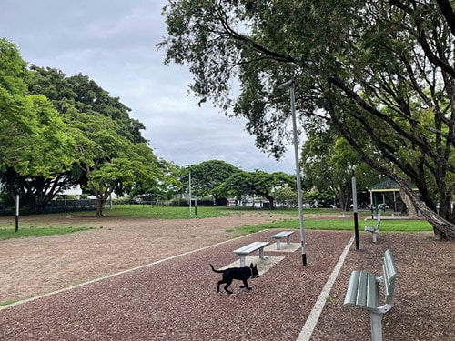New Farm Dog Park, a Brisbane dog park