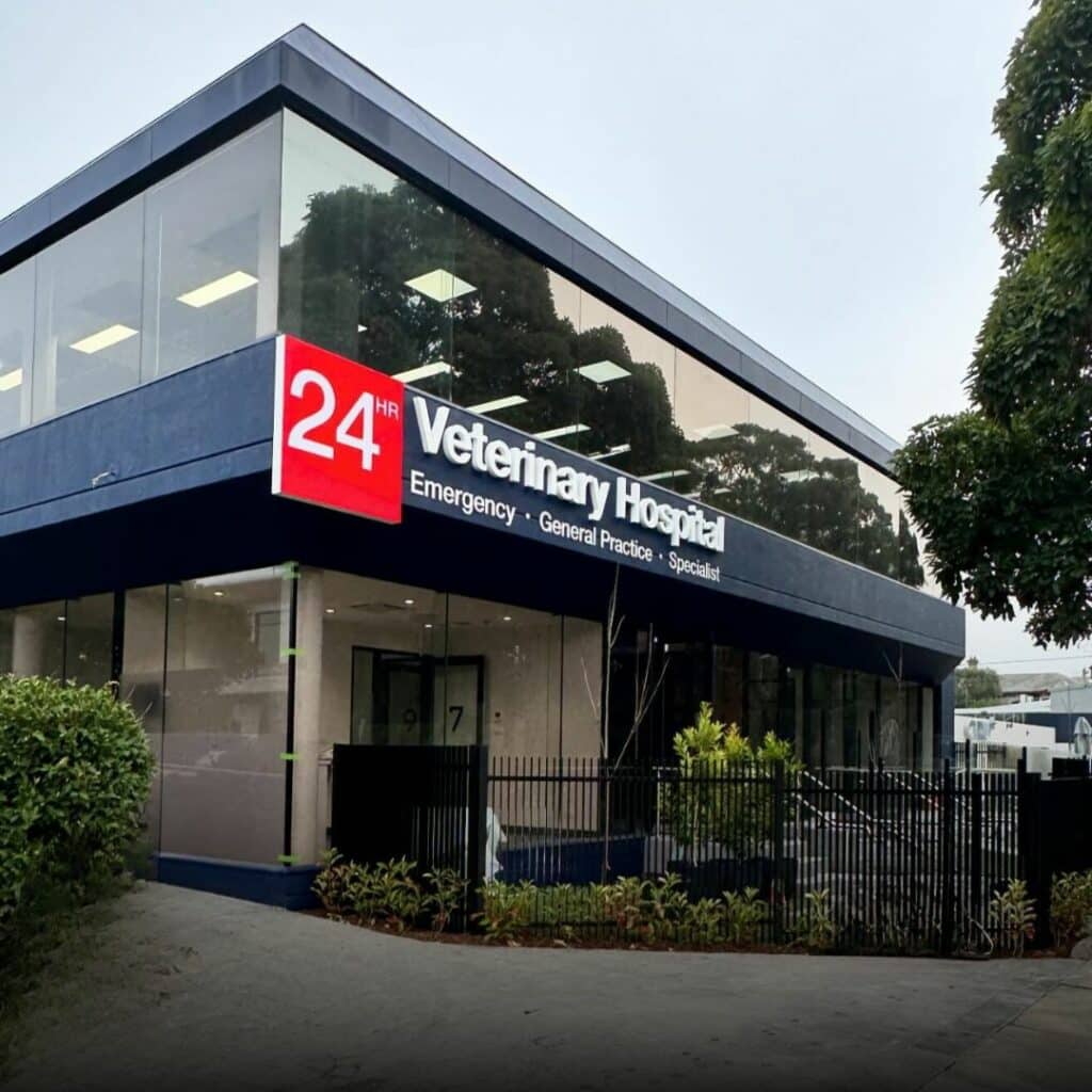 Animal Emergency Service Hawthorn East Outside view of the building