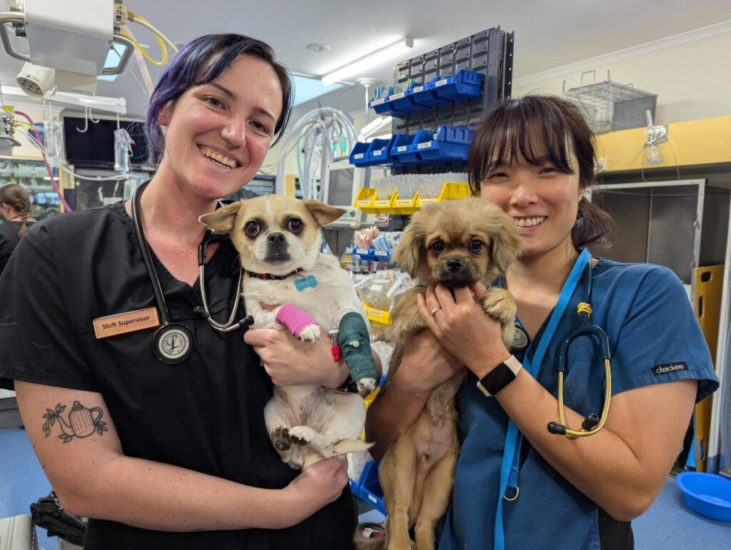 Canberra Patient Transfer Form